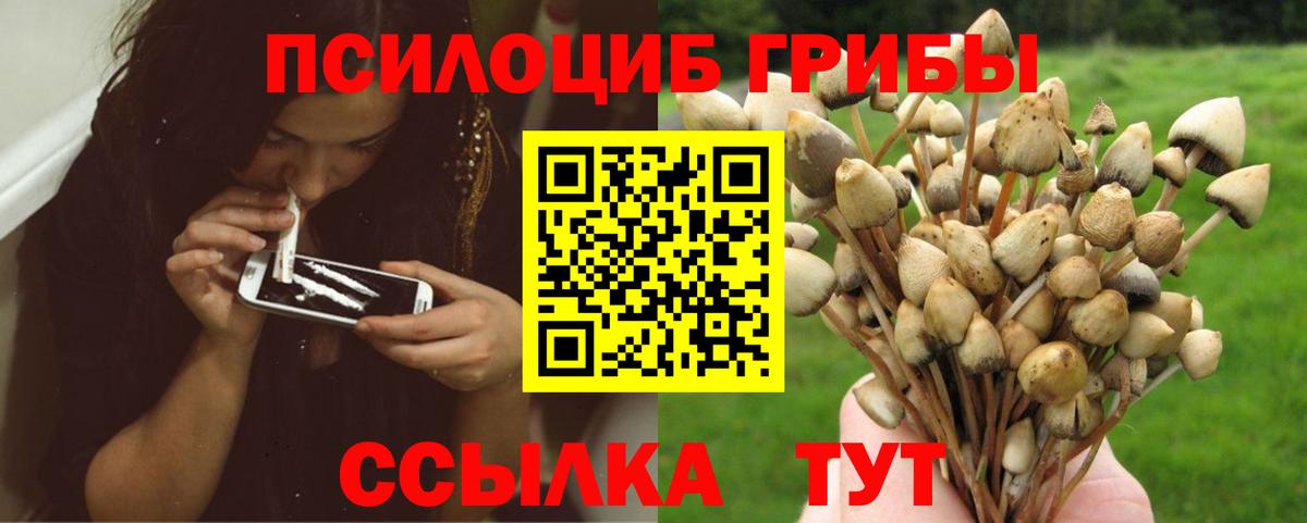 Вязники  Псилоцибиновые грибы Cubensis  Галлюциногенные грибы ЛСД  Вход с VPN 